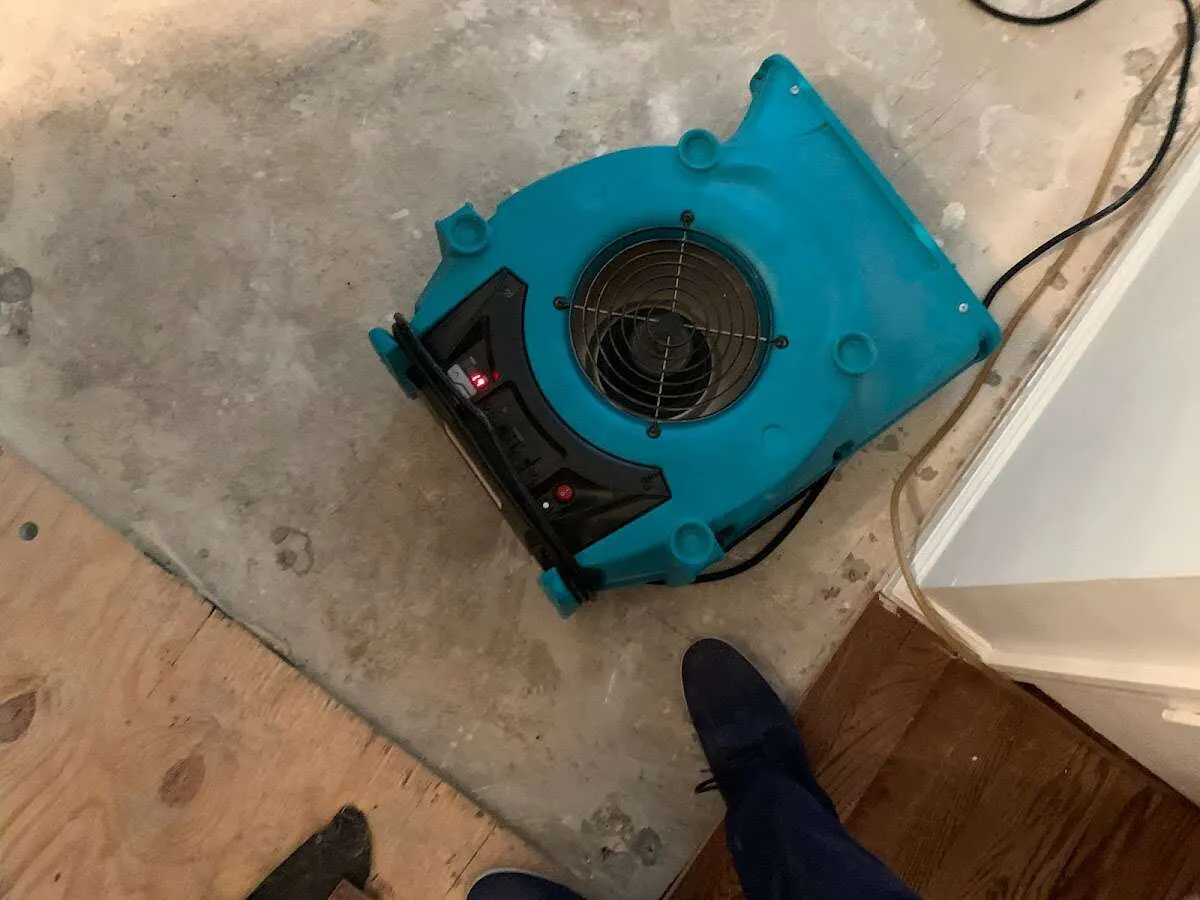 Air mover drying subfloor during Leak Detection & Repair in Waverly
